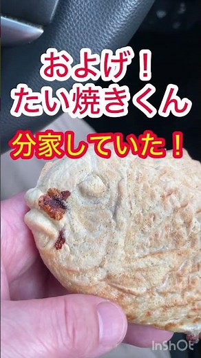 #たいやき #浪花家総本店 #麻布十番 #麻布十番グルメ #東京グルメ #およげたいやきくん #天然物 #一丁焼き #行列のできる店 #食べ歩き #韓国グルメ #ソウル浪花家 #両国グルメ #雑学