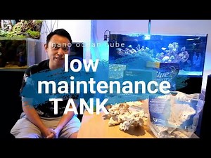 SET UP NANO REEF TANK MURAH MERIAH & LOW MAINTENANCE COCOK UNTUK MULAI NIH