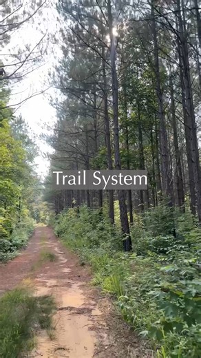 🤠Tucked away in the scenic hills of Morgan County TN, Grassy Mountain Farms 84 offers 84.21 acres of usable, mountain-view land that’s private, peaceful, and primed for just about anything. Whether you're dreaming of a legacy farm, a recreational retreat, or a hunt camp, this tract is the perfect canvas. 📍Listed at $378,945 📲Call/Text 931-236-2541 to schedule a tour. Full Listing Here 👉https://bit.ly/3JsuJVS | Country Tracts