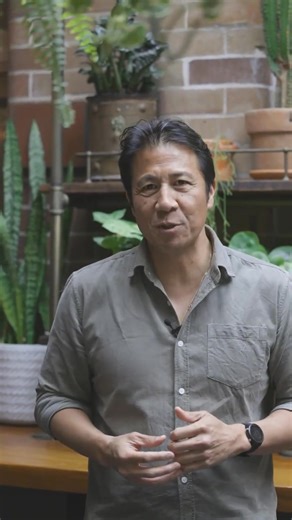 From a 1951 herbalist’s store to trusted Master Herbalists—discover Thompson’s passion for natural wellness and herbal expertise. Founded by Mark Barrington Thompson, we’ve spent over 70 years exploring herbs to support healthy, active lifestyles. Learn more today. | Thompson's | Facebook