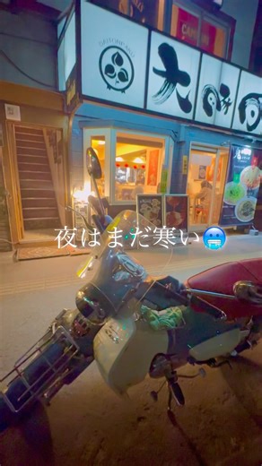 大豚白（ダイトンパク）