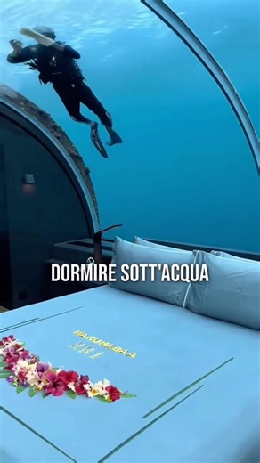 Pensi che Giraffe Manor sia un hotel strano? 🦒 Noi di Vacantour ti mostriamo altri 3 luoghi altrettanto unici e mai visti prima! Con noi puoi visitarli quando e come vuoi. Conosci altri posti particolari? Raccontacelo nei commenti! 👇🏻 📞Contattaci per preventivi e info 06 52358885 / 06 87728423 📍Ci trovi a Roma Via di Saponara 81, Roma By @beehind_studio #hotel #giraffemanor #themuraka #panpacific #skylodge | Vacantour Tour Operator