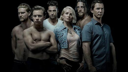 Animal Kingdom : faut-il se lancer dans cette nouvelle série à succès sur Netflix ?