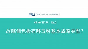 战略调色板有哪五种类型？