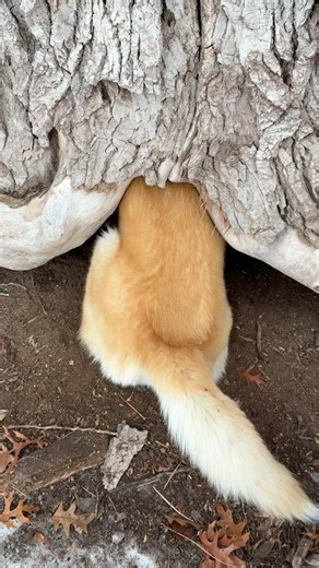 what goeth 'round cometh 'round