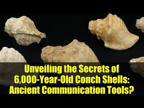Unveiling the Secrets of 6,000-Year-Old Conch Shells: Ancient Communication Tools?