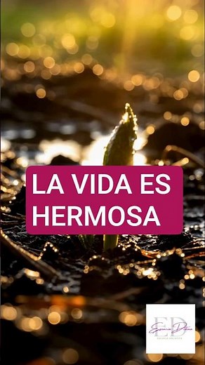 “La vida es hermosa 🌸 Frases motivacionales cortas para tu día” #shorts