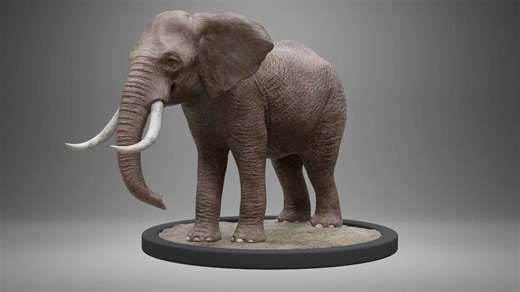 ELEPHANT CGI