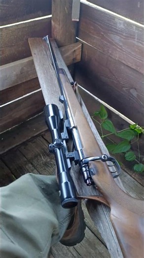 L' altana #whatching #hunting