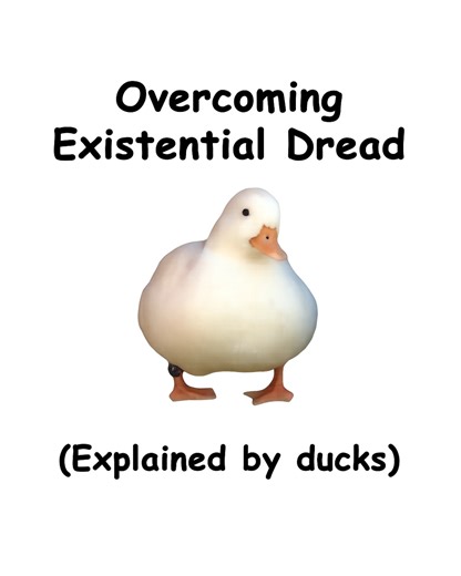736K views · 18K reactions | Overcoming Existential Dread (explained by ducks) | Diploma Duck | Facebook