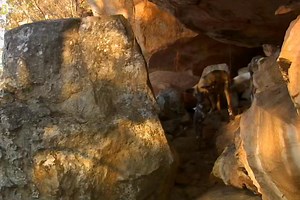 The Dogs of Lion Country - Part 10 [ हिन्दी डॉक्यूमेंट्री ] #nature #animals #wildlife #survival #dogs #documentary #wildwisdom Witness how a family of African wild dogs fights to survive among their deadliest rivals. | Wild Wisdom