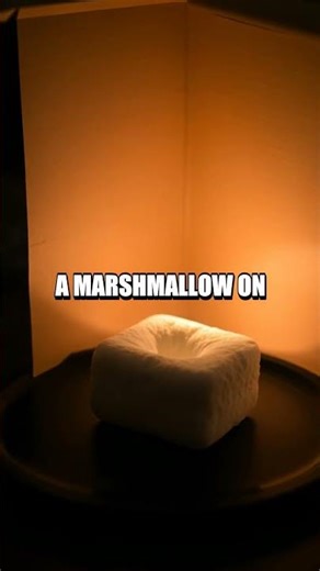 Sunlight to Snack Solar Oven Challenge