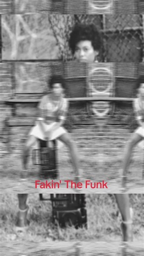 Fakin' The Funk 🎤🎤