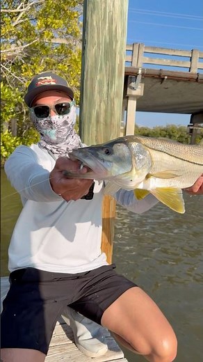 Exploring the Florida backwaters #snookfishing