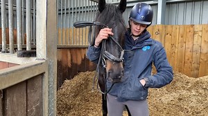 2.4K views · 36 reactions | This is Grace our Horse Welfare Training Supervisor giving us her Tip Tuesday about using clicker training to help with bridle habituation. Seamus used to be very worried about his bridle going on. She talks through the stages she used to make him feel more comfortable. | Blue Cross rehoming centre Burford | Facebook