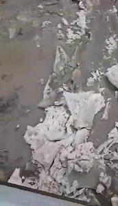 4.7K views · 70 reactions | Kickapoo Creek at 5th Street bridge | New Herald News | Facebook