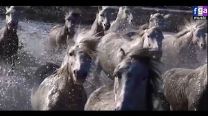 147K views · 5.2K reactions | Foreigner I Want To Know What Love Is - Dinka X Mas Bootleg Remix by fga | Retro songs for everyone | Facebook