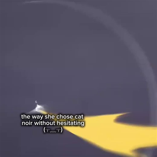 Exploring the Miraculous World of Ladybug and Cat Noir