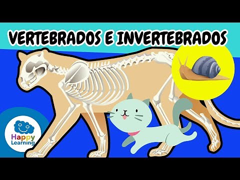 🐘🦋Vertebrate and Invertebrate Animals | Educational Videos for Primary School Children @HappyLear...