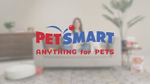 3.4K views · 71 reactions | Take it from our friend Lucy Hale: Treats...