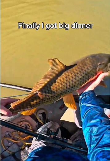 Catch-and-Release Fishing Win: Dramatic Reel Moment