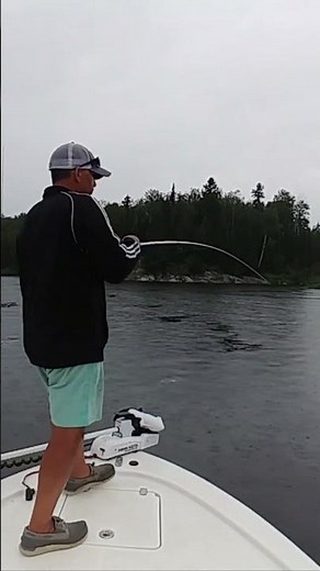 Walleye LOVE Nightcrawlers! 🐛🎣 | Ontario Fishing