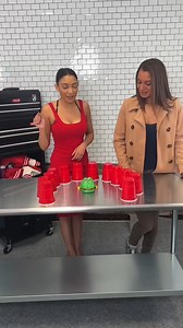 Money prize game, you win if the alligator doesn't bite | Tommy Wind