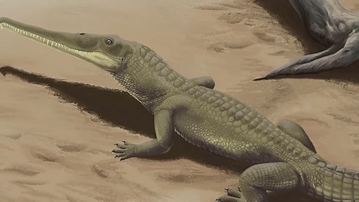 Triassic Monsters: Archosaurs That Shaped Our Planet