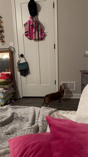 Ravelli (@rav_drift)’s videos with original sound - Ravelli