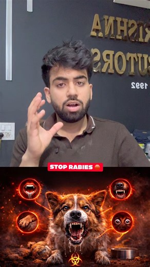 Rabies Symptoms in Dogs ⚠️ Don’t Ignore This!