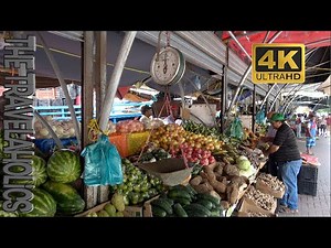 Curacao Sightseeing Willemstad 🇨🇼
