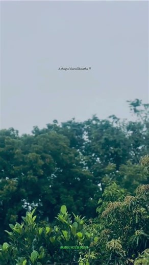 sevatha pulla song lyrics whatsapp status in tamil #lovestatus #love #lovesong #lovely #kadhal