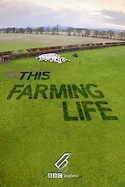 Watch This Farming Life Season 5 Episode 1 - Episode 1