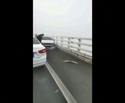 Video Shows Massive 200-Car Pileup Caused By Fog