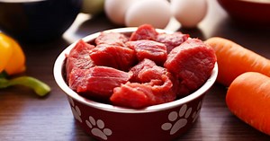 DIY balanced raw food diets - Guides | Big Dog Pet Foods