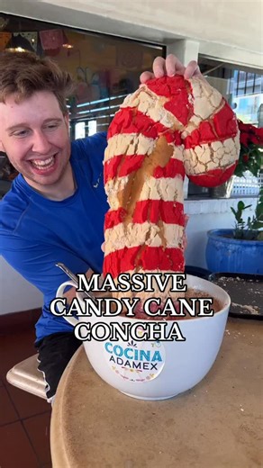 GIANT CANDY CANE CONCHA!! 🎄 We stopped by @cocinaadamex today to check out their giant conchas and couldn’t believe it when we saw these candy cane ones!! We had to get an XL hot chocolate to dunk into! This is such a fun spot! Perfect stop on your way to check out Christmas lights in the Valley! You can get one of these by pre-ordering a day ahead starting on December 1st! Let us know if you give it a try! 📍Cocina Adamex 416 North 7th Avenue Phoenix, AZ 85007 #giantconcha #concha #giantfood #