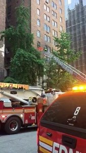 21K views · 415 reactions | FDNY members from Ladder 2 rescue a dog from a high-rise fire at 5 Tudor City Place in Manhattan. There are currently no injuries reported. | New York City Fire Department (FDNY) | Facebook