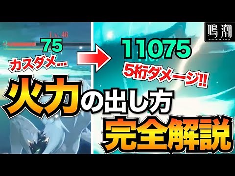 【鳴潮】火力の出し方完全解説！初心者がダメージを出せるまでの流れ【火力が出ない方必見】