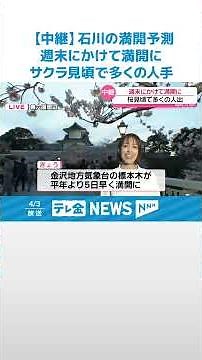 【生中継】週末は満開！ 夜桜見物でにぎわう金沢・兼六園周辺 石川各地の開花状況も #shorts
