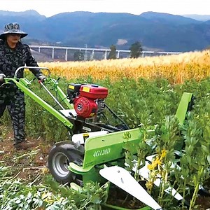 [Hot Item] Alfalfa Harvester Machine Alfalfa Harvesting Reaper