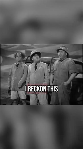A funny curly moment #ThreeStooges #ClassicComedy #SlapstickLegends #VintageVibes #LarryMoeCurly | Stooges Reactions