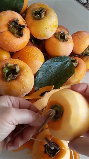 You should definitely try drying persimmons You'll get a wonderful flavor!
