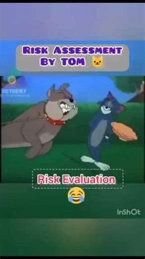 Risk Assessment #hacker #cybersecurity