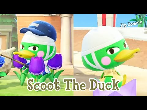 Scoot The Duck Jock Villager Animal Crossing New Horizons ACNH
