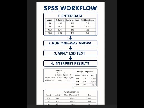 SPSS ANOVA & LSD Test Interpretation | Effect of Different Auxins on E. ribes Rooting