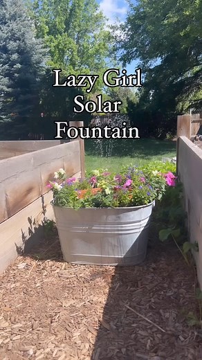 🌞💦 Lazy Girl Solar Fountain DIY 🌸✨I transformed an old galvanized tub into a beautiful, multi-functioning planter and solar fountain, and it was so easy! Here’s how I did it:1. Grab a large planter (I used an old galvanized tub).2. Set another pot in the tub. (Note I ended up adding a bowl on top of the pot so water would stay in it!) 3. Add potting soil around the pot.4. Plant snapdragons, petunias, and lobelia around the edges.5. Fill the center pot/bowl with water.Place your solar fountain