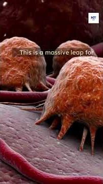 Quantum Tech Can Now Track Living Cells in Real-Time! 🧬💎