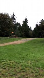 Jukin Copyright Management on Reels