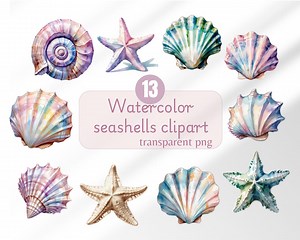 Sea Shell Clipart Ocean Seashell Clipart Watercolor Sea Shell Digital Sticker Beach Clipart Ocean Elements Clipart Sea Shell Png - Etsy