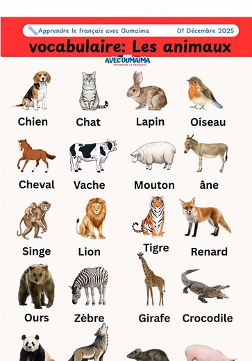 Découvrez les animaux en français avec vocabulaire